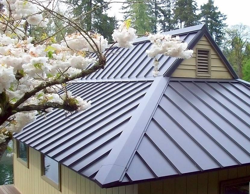 крыша из оцинкованного листа