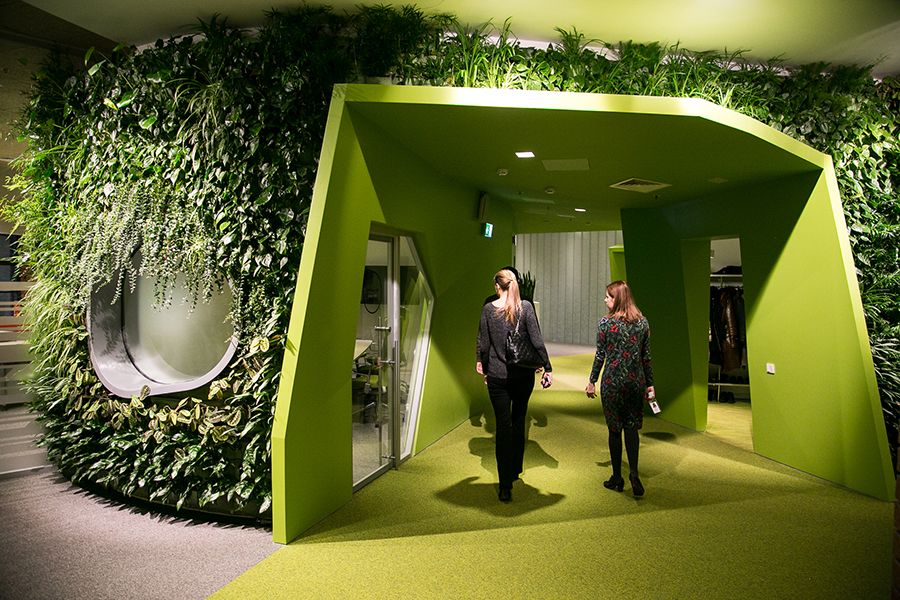Оформление офиса в зеленых тонах
